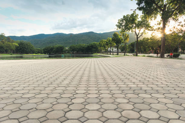 Best Best Driveway Pavers  in Layton, UT
